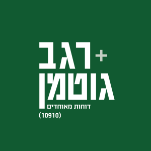 דוחות מאוחדים